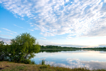 Obraz na płótnie Canvas Landscape, A tree with a lake with a reflection of the sky with clouds, warm summer evening