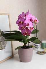 Beautiful pink orchid flower and picture on white table © New Africa