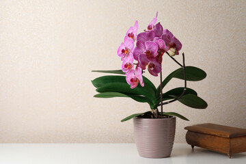 Beautiful blooming orchid and old wooden jewelry box on white table near beige wall. Space for text