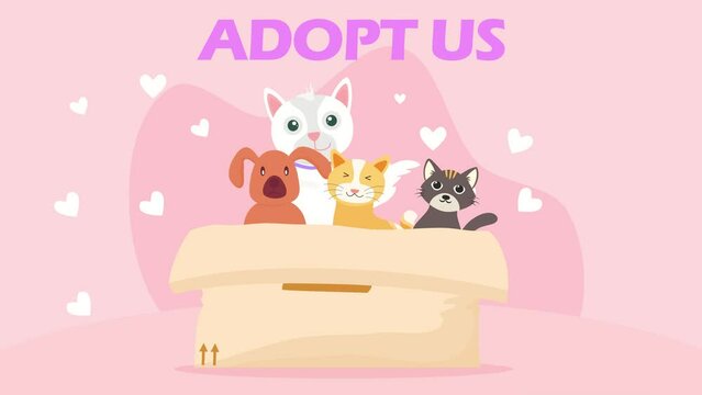 adopt, stray animal, adopt us, stray animals waiting to be adopted