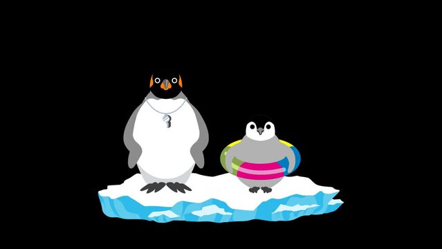 Loopable and Alpha channel file - Baby and adult penguins doing warm-up exercises on the glacier