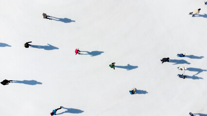 Many people are skating on a white outdoor ice rink in the city on a sunny winter day. Shadows of...