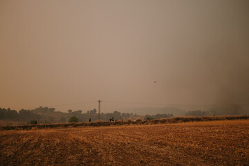 Fototapeta premium plowed field at sunset