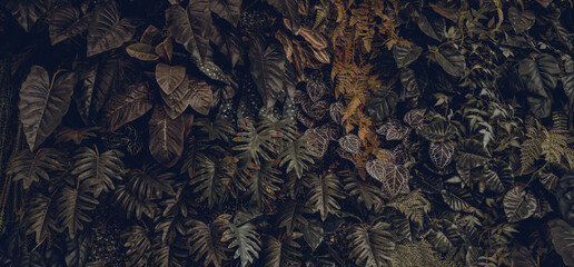 Creative nature leaves background, tropical leaf banner or floral jungle pattern concept.