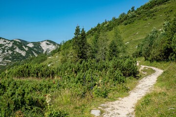 Aberfeldkogel Feuerkogel Europakreutz  Ebensee Wandern Sommer 2022 Wanderwege Gipfel Seeblick