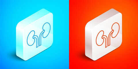 Isometric line Human kidneys icon isolated on blue and red background. Silver square button. Vector