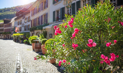 Fototapeta na wymiar street and flower in Switzerland