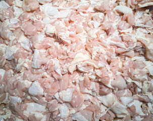 close up of a chicken