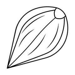 Garlic. Garlic clove in the husk top view. Sketch. Vegetable culture contains vitamin C. Vector illustration. Spicy spice for cooking. Outline on isolated background. Doodle style.