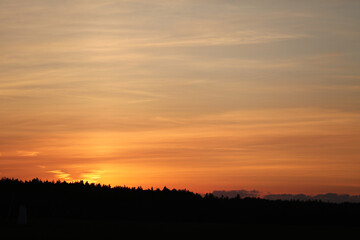 Sunset behind the forest in europe, background texture calm, peace, europe, beautiful sky