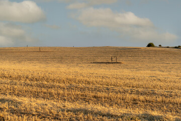 Fototapeta premium Country