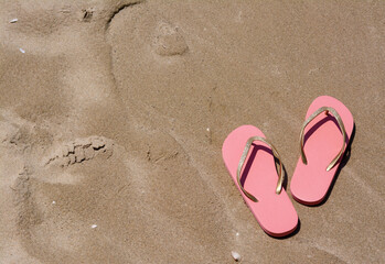 Fototapeta na wymiar Stylish pink flip flops on wet sand, above view. Space for text