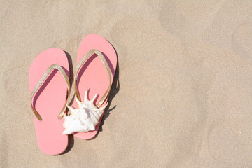 Fototapeta na wymiar Stylish pink flip flops and seashell on sandy beach, flat lay. Space for text