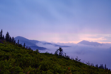 Obraz premium View of the peaks of the Hoverla and Petros mountains from the Kukul valley.