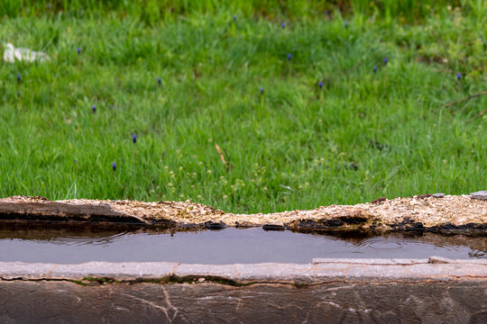 Selective focus shot of animal water trough.