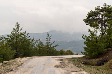 Fototapeta na wymiar Selective focus shot of road leading to mountain trail.