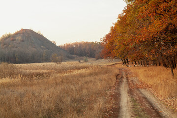 Fototapeta premium Dirt road along autumn forest