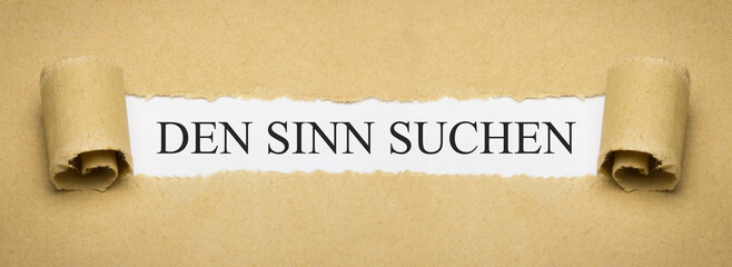 Den Sinn suchen