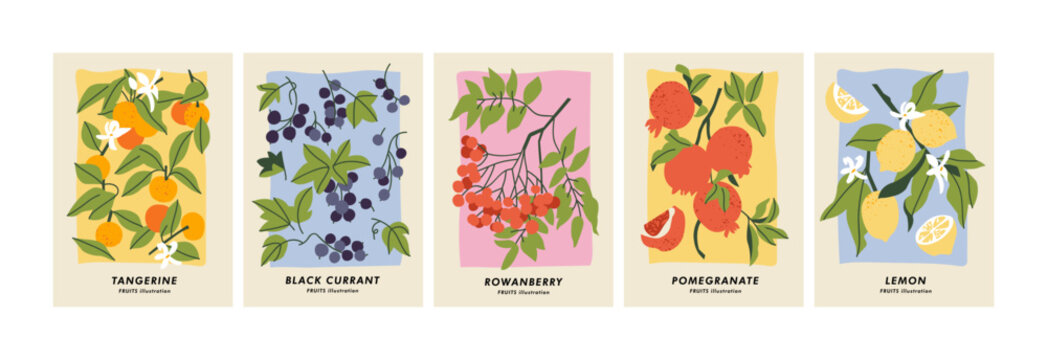 Vector illustration set of botanical posters with different fruits. Art for for postcards, wall art, banner, background.