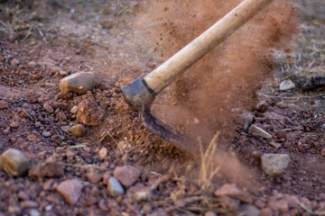 close-up detail of an unrecognizable farmer digging the earth with a sickle and kicking up dust. moving picture