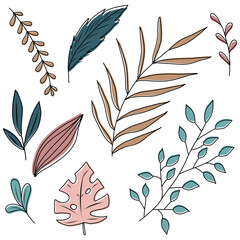 Collection of vector colored plants and flowers in doodle style.  Colorful flat illustration.