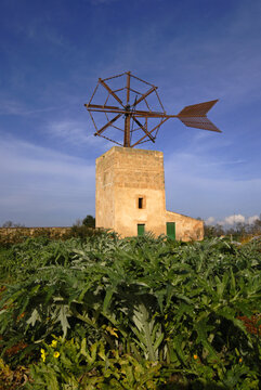 Molino de s&acute;hort de Son Rengo, fabricado con tablillas de madera (s.XIX-XX). Ctra de Santanyi.Campos.Comarca de Migjorn. Mallorca. Baleares.Espa&ntilde;a.