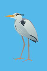 Een vectorillustratie van een grijze reiger. De vogel staat en in een ontspannen houding.