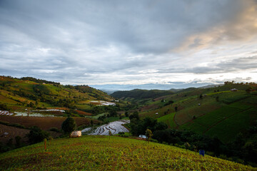 Fototapeta premium Green Terraced Rice Field in Mae Chaem, Chiang Mai Province, Thailand