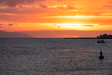 Romantic sunset seen from lookout Cypelek Los Cristianos, Tenerife, Canary Islands, Spain, Europe. Silhouette of birds entering frame. Fishermen boat on the way to Island of La Gomera in the distance