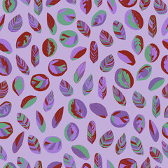 Calathea leaves seamless pattern vector