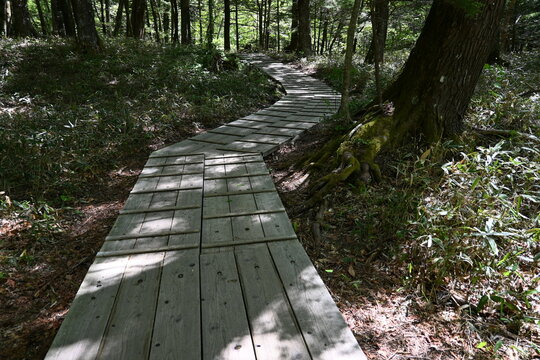 Stone and wooden roads and bridges on the way to the mountains