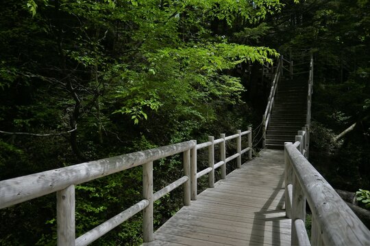 Stone and wooden roads and bridges on the way to the mountains