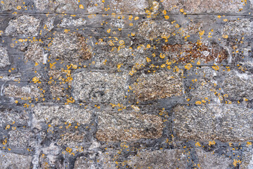 old stone wall with old yellow mould texture