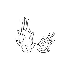 Pitahaya outline icon. Dragon fruit, healthy nutrition, organic food. Hand drawn line vector illustration.