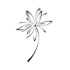 one stylized blooming flower on a short stalk without leaves. graphic decor