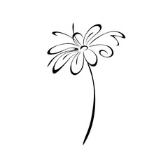 one stylized blooming flower on a short stalk without leaves. graphic decor