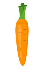 Cartoon vector illustration of a carrot isolated on white background. Healthy food or vegetarian and vegan theme. Fresh organic farm vegetables. 