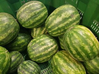 Fresh watermelons displayed for sale in a supermarket