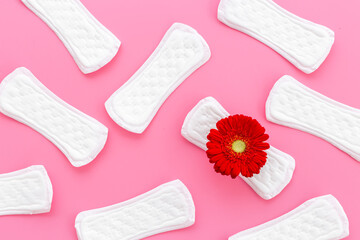 White panty liners with red flower. Menstruation period and daily hygiene