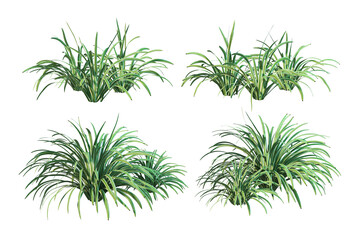 Green-leaved plants on a white background