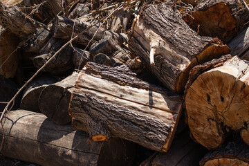 stack of firewood
