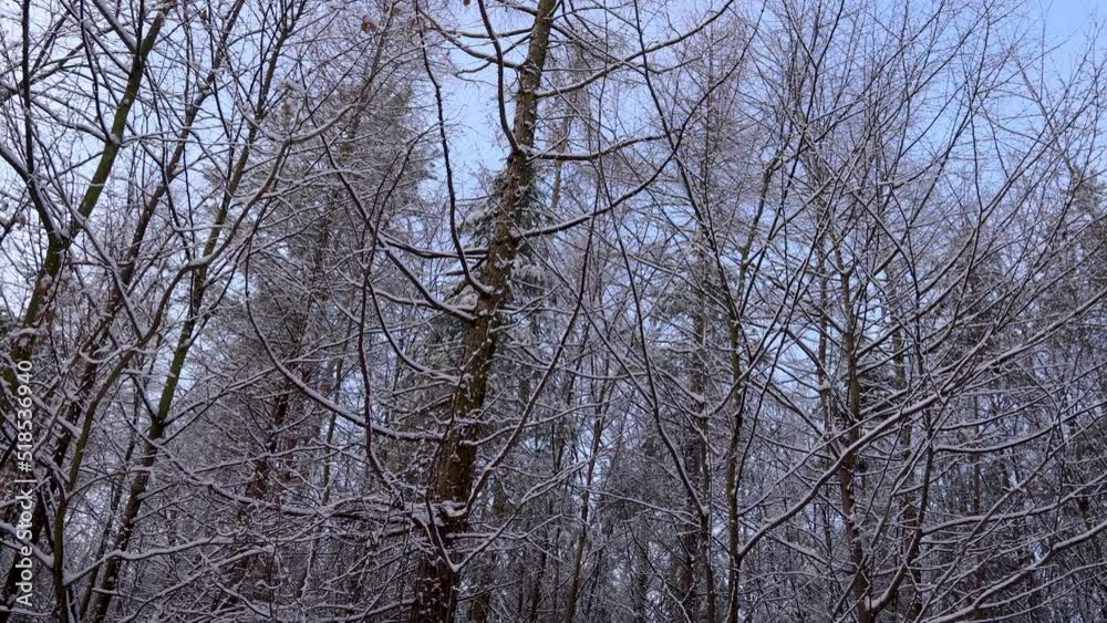 Sticker Winter in Rogow village, Lodz region of Poland, 4k footage