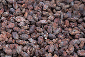 Unpeeled cocoa beans background from above. Flat lay top view a pile of dried cocoa beans. Pattern of the cocoa beans background