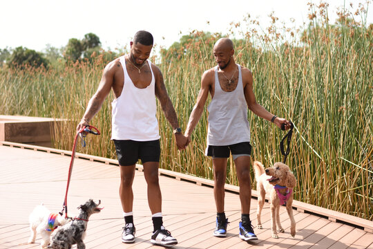 USA, Louisiana, Gay couple walking on boardwalk with dogs