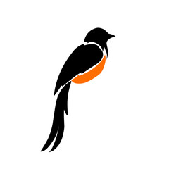 Illustration vector graphics of design magpie bird perfect for logo