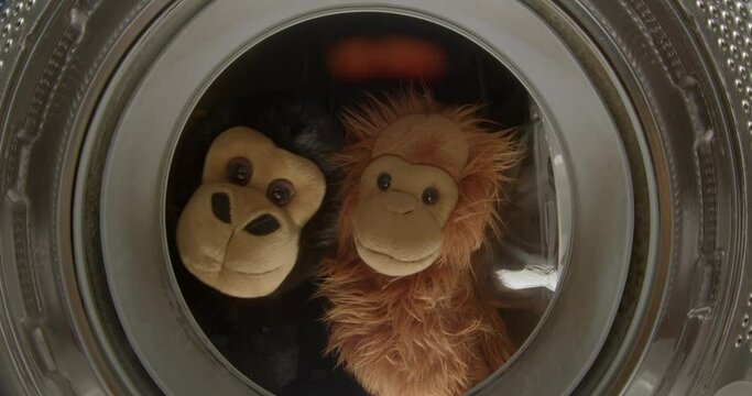 Two soft monkey toys look into the washing machine. They shake and peek. Positive motivation. Shot from the drum of a washing machine. CZ, Kladno, Polska, 25.5.22