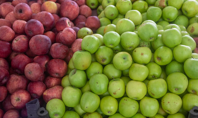 Buying organic food at the farmers' market. Fresh apples on the counter