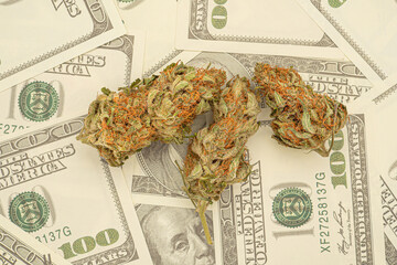 Dry marijuana buds over US dollar banknotes