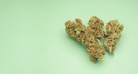 Dry cannabis buds flowers on a green background