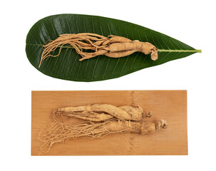 Ginseng or Panax ginseng isolated on white background with clipping path.top view.